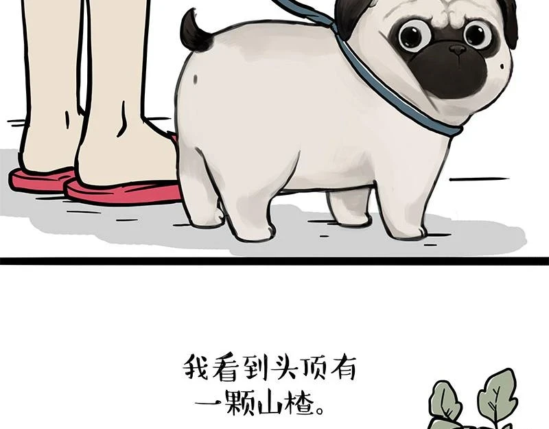 第365话 “神犬”巴扎黑 第3页