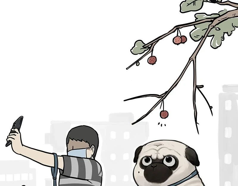 第365话 “神犬”巴扎黑 第4页