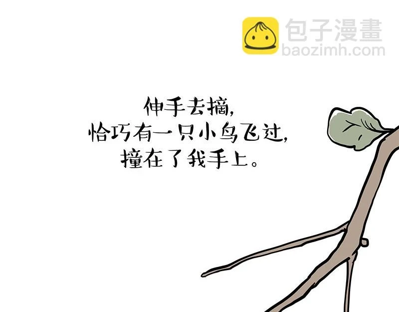 第365话 “神犬”巴扎黑 第6页