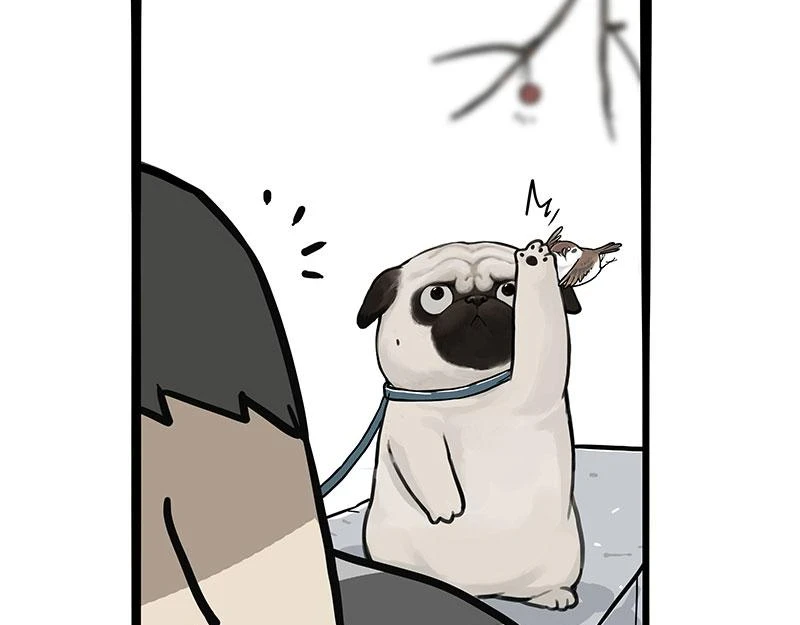 第365话 “神犬”巴扎黑 第9页
