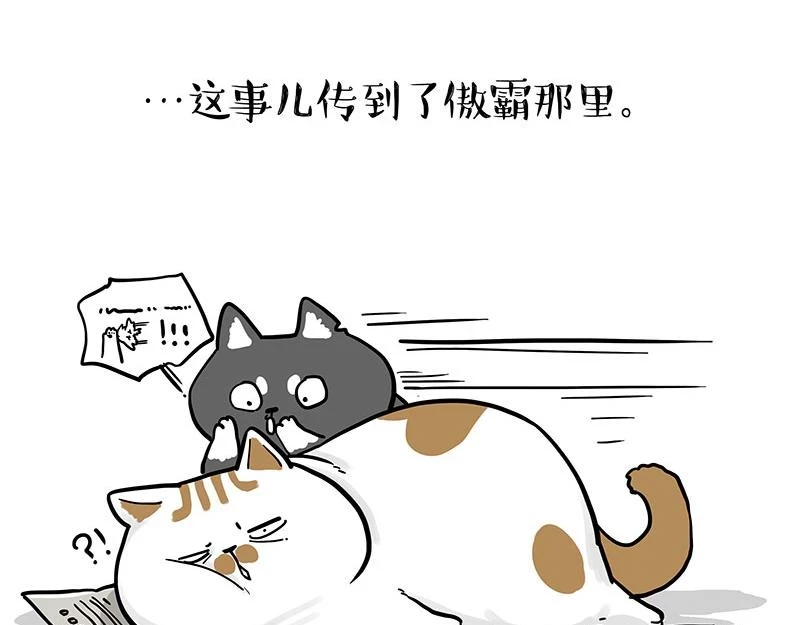 第365话 “神犬”巴扎黑 第19页