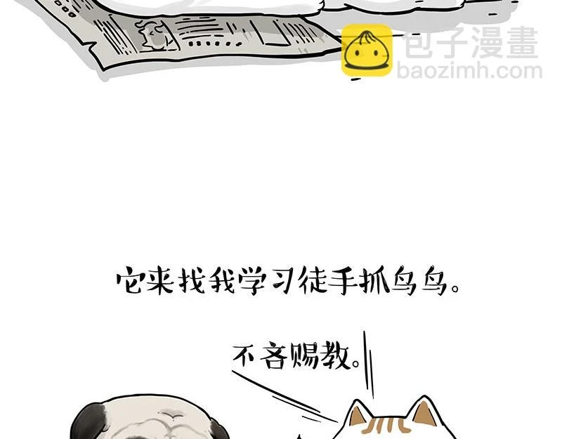 第365话 “神犬”巴扎黑 第20页