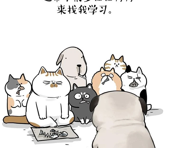 第365话 “神犬”巴扎黑 第22页
