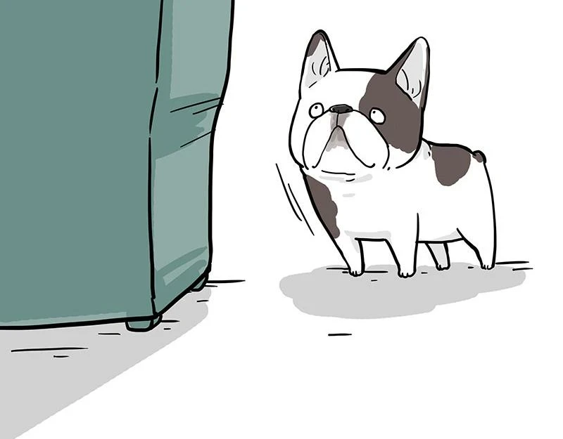 第365话 “神犬”巴扎黑 第29页