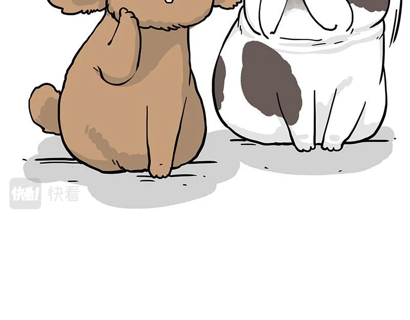第365话 “神犬”巴扎黑 第43页