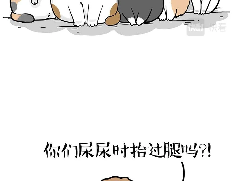 第365话 “神犬”巴扎黑 第53页