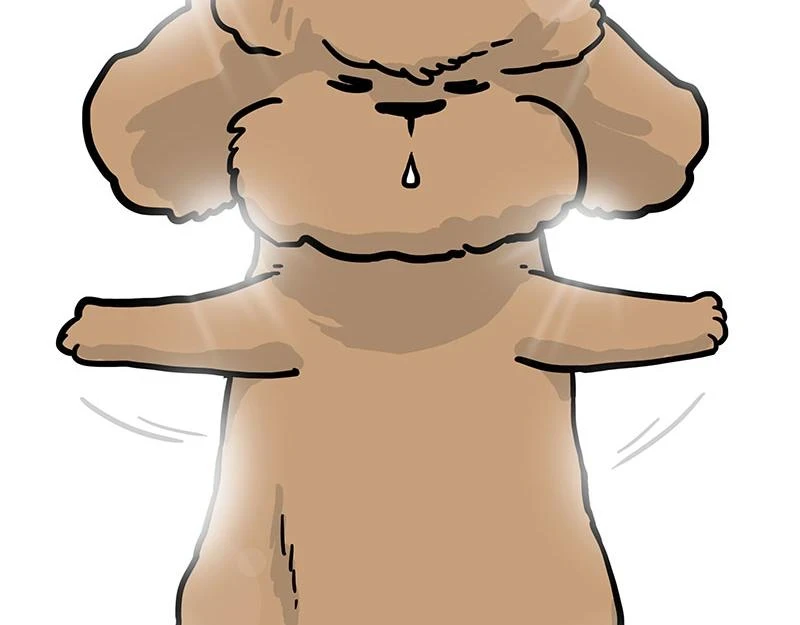 第365话 “神犬”巴扎黑 第72页