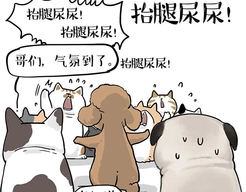 第365话 “神犬”巴扎黑 第75页