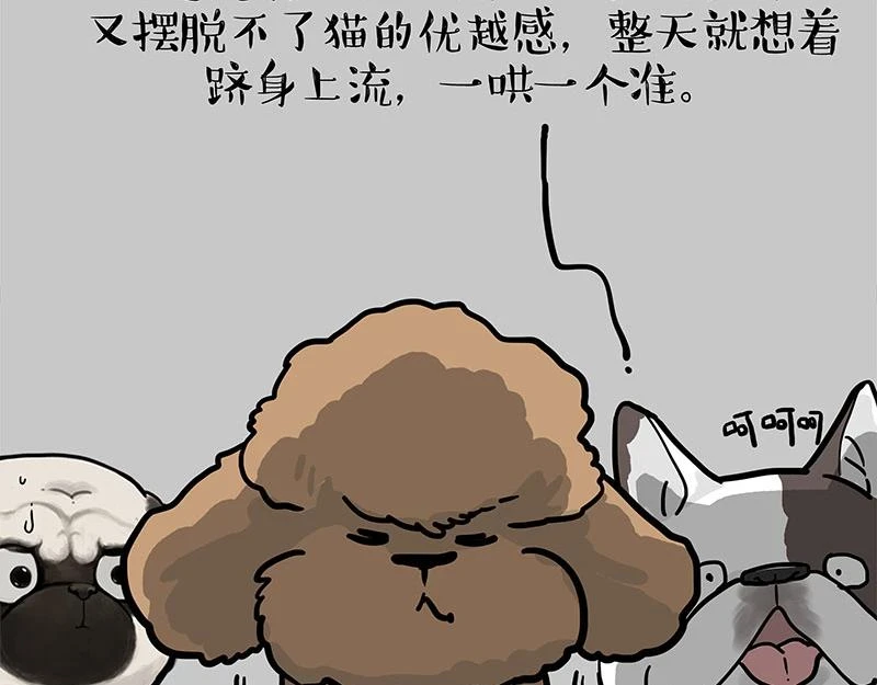 第365话 “神犬”巴扎黑 第77页