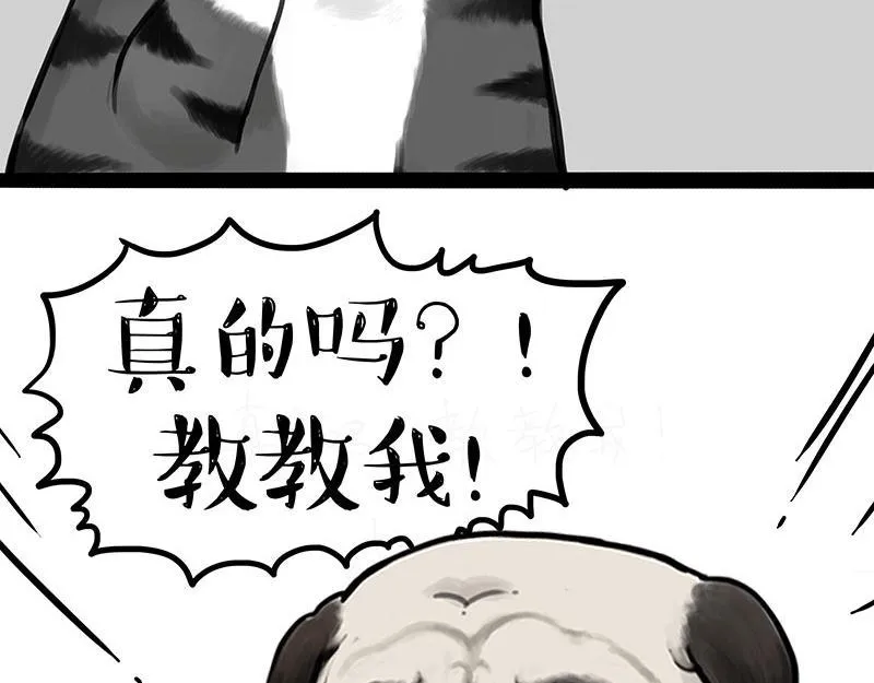 第367话 都不是事儿 第37页