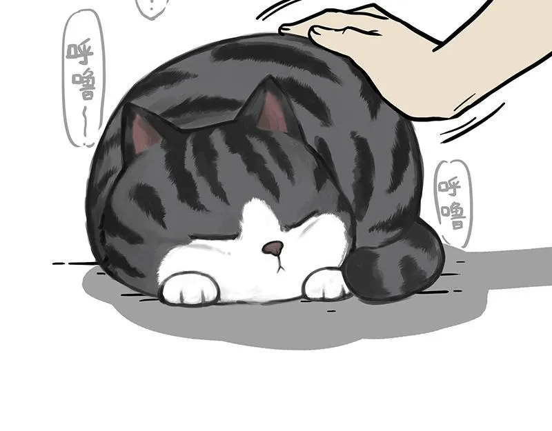 第369话 老天爷的答案 第7页