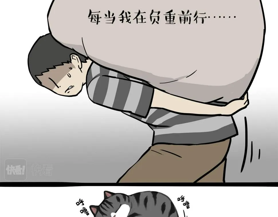 第369话 老天爷的答案 第11页