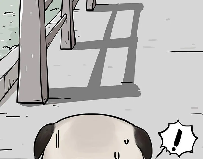 第369话 老天爷的答案 第38页