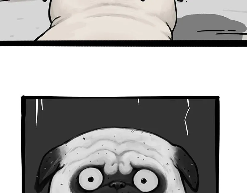 第369话 老天爷的答案 第39页