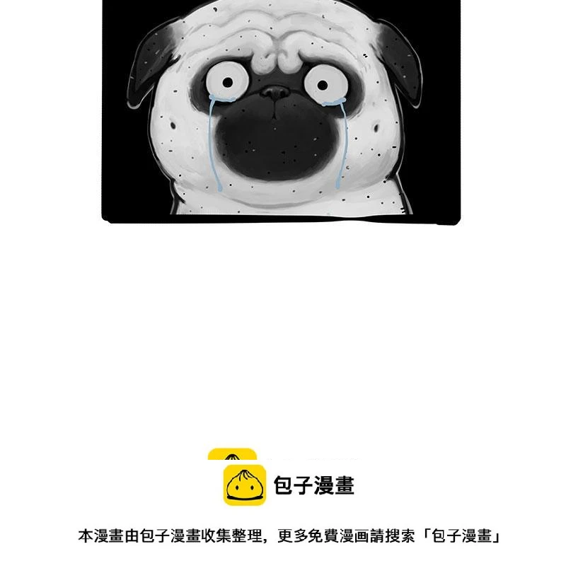 第369话 老天爷的答案 第41页