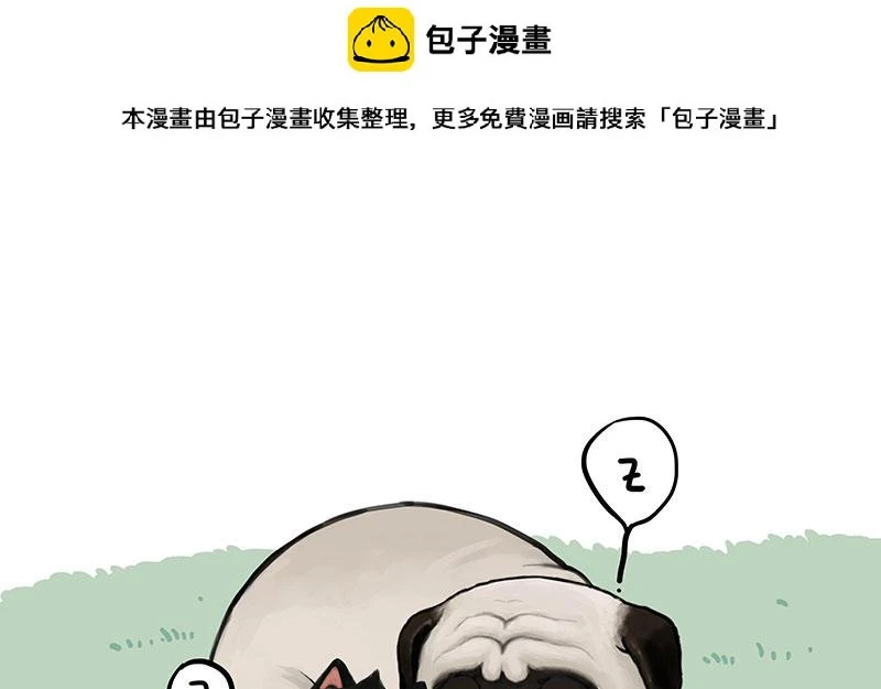 第370话 你就宠它吧 第1页