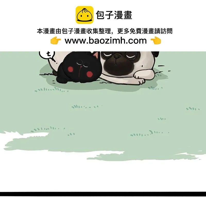第370话 你就宠它吧 第2页