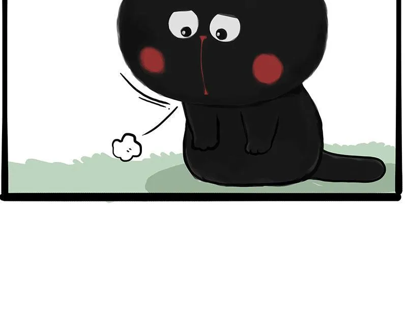 第370话 你就宠它吧 第11页