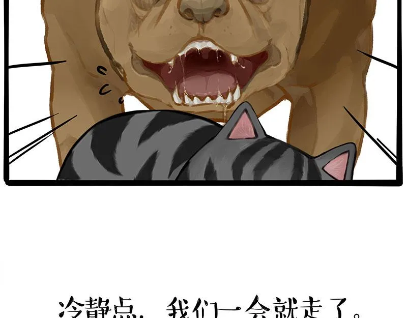 第370话 你就宠它吧 第24页
