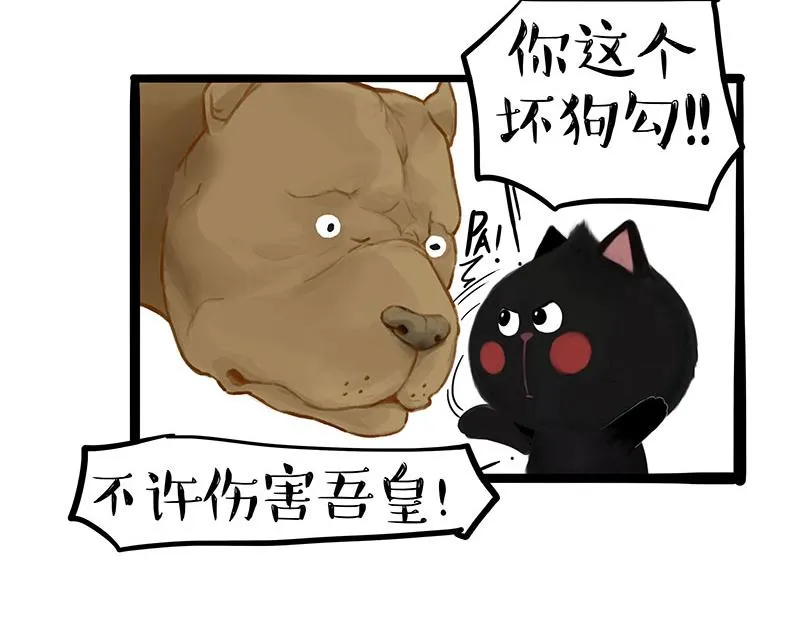 第370话 你就宠它吧 第33页
