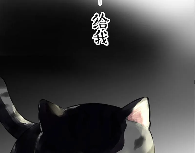 第370话 你就宠它吧 第40页