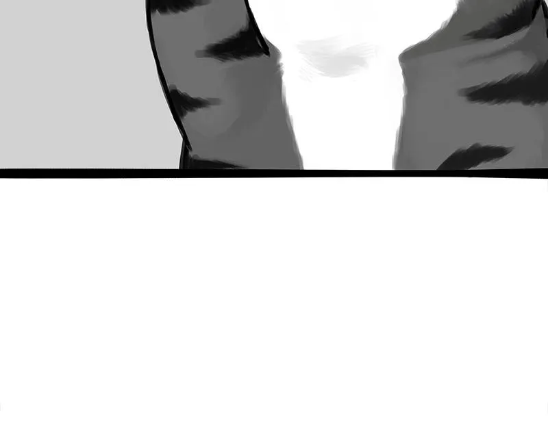 第372话 都是因为爱 第14页