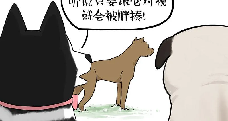 第375话 偶遇恶犬 第1页
