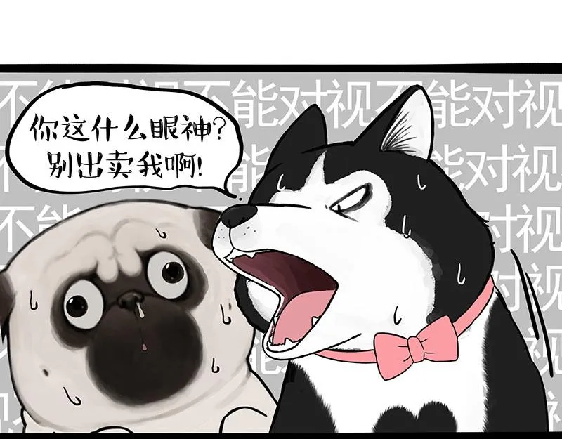 第375话 偶遇恶犬 第5页