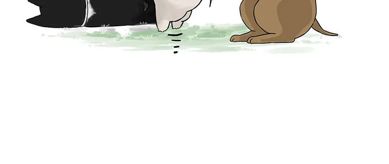 第375话 偶遇恶犬 第14页
