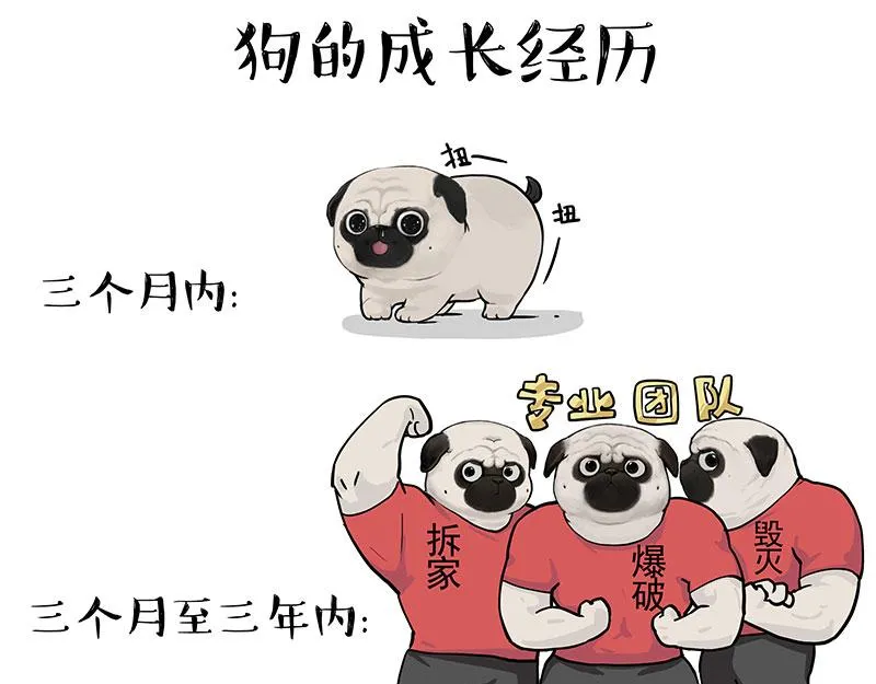 第376话 第一次做人 第9页