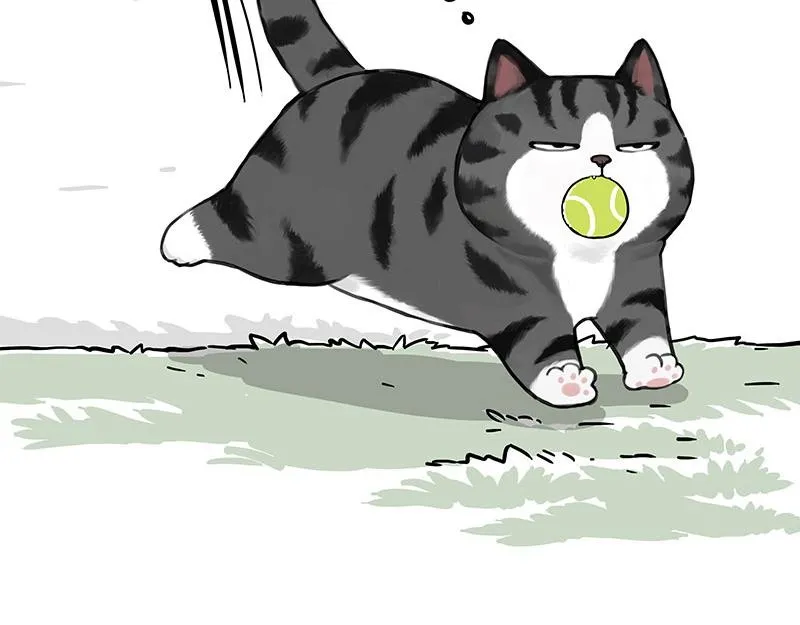 第377话 谢谢小猫咪 第2页