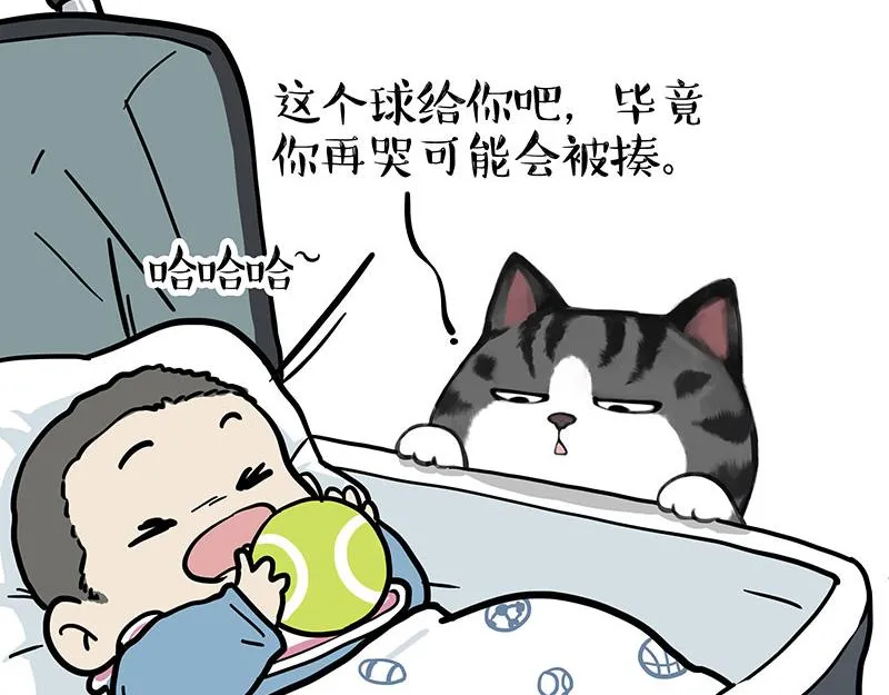 第377话 谢谢小猫咪 第5页