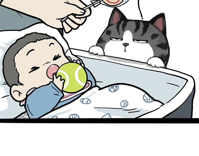 第377话 谢谢小猫咪 第7页