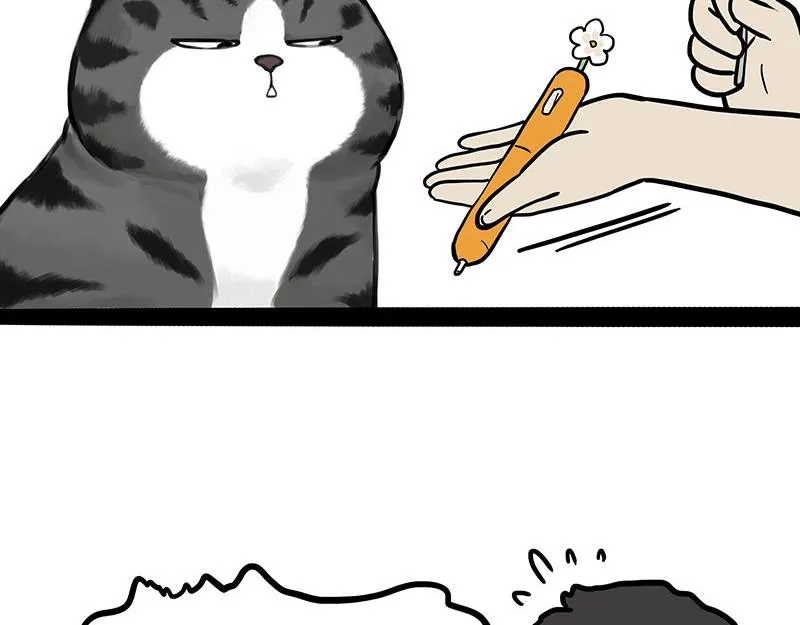 第377话 谢谢小猫咪 第12页