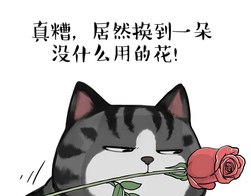 第377话 谢谢小猫咪 第19页