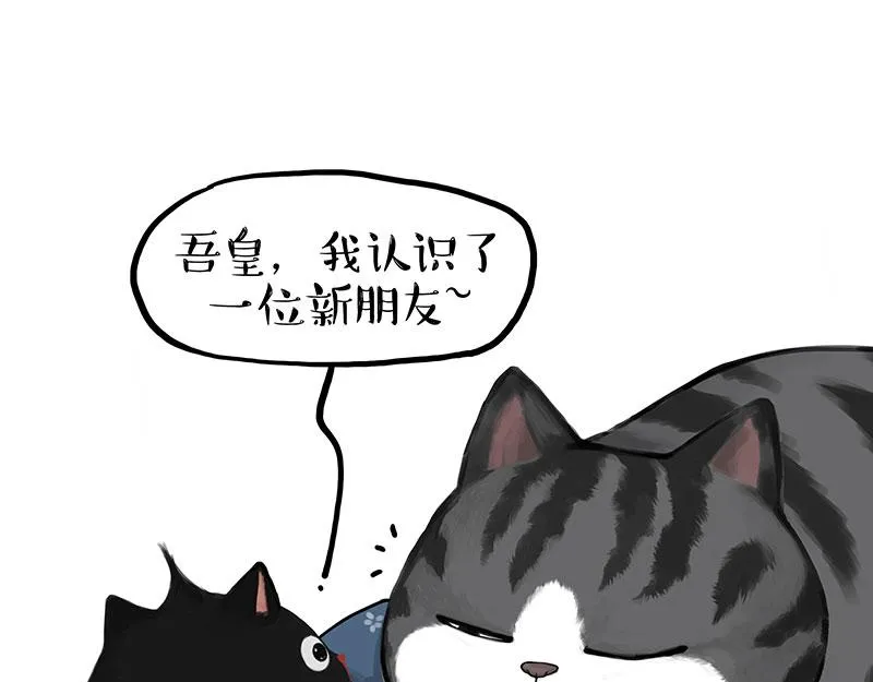 第377话 谢谢小猫咪 第24页