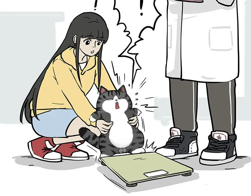 第377话 谢谢小猫咪 第31页