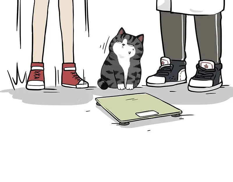 第377话 谢谢小猫咪 第36页