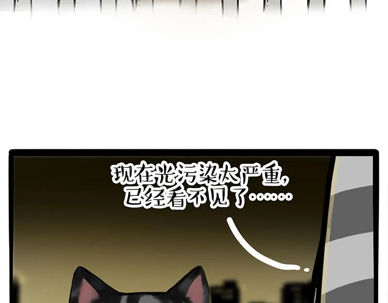 第378话 给你满天星星 第29页