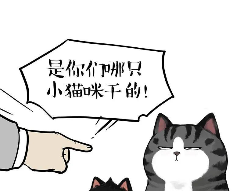 第389话 登峰造极 第17页