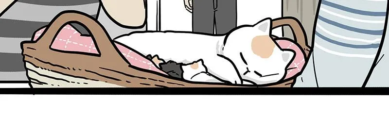 第389话 登峰造极 第36页