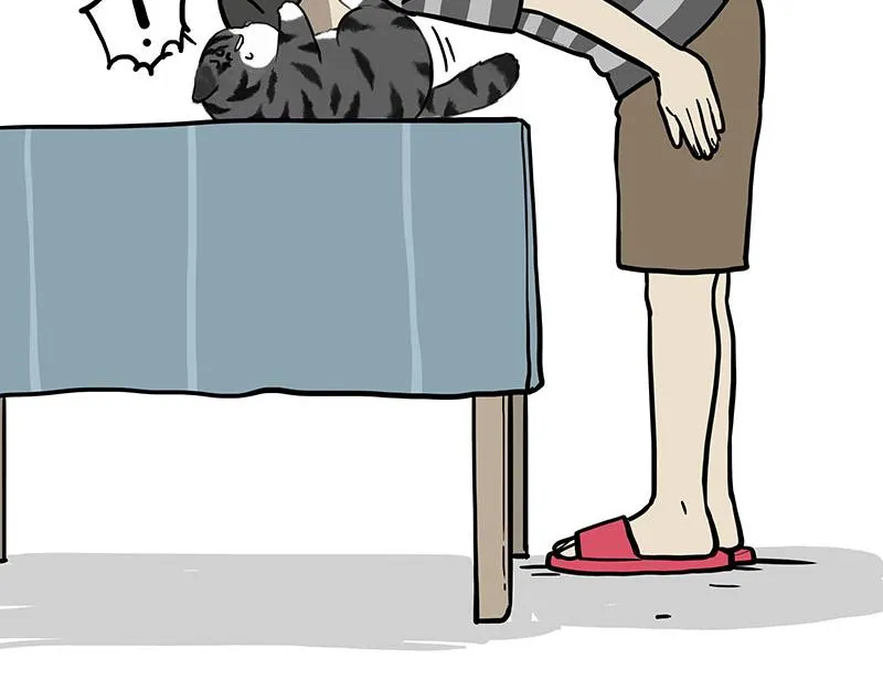 第391话 开心就好 第16页