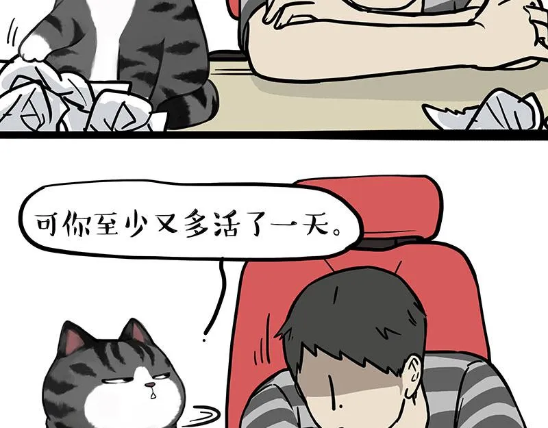 第391话 开心就好 第19页
