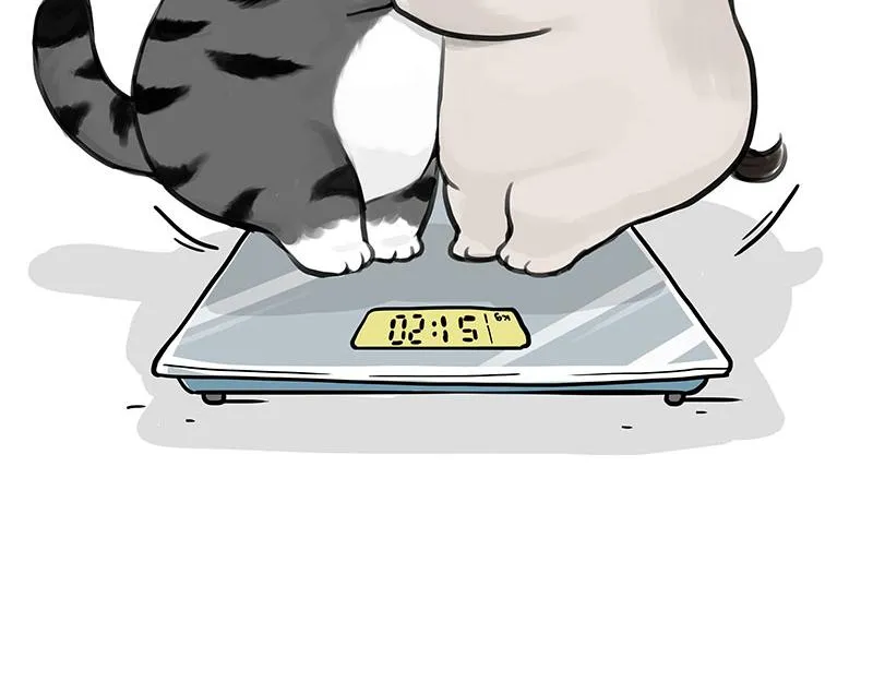 第383话 苦夏 第40页