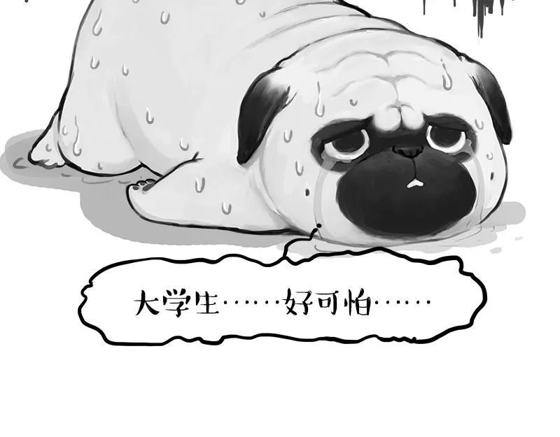 第388话 不走寻常路！ 第23页