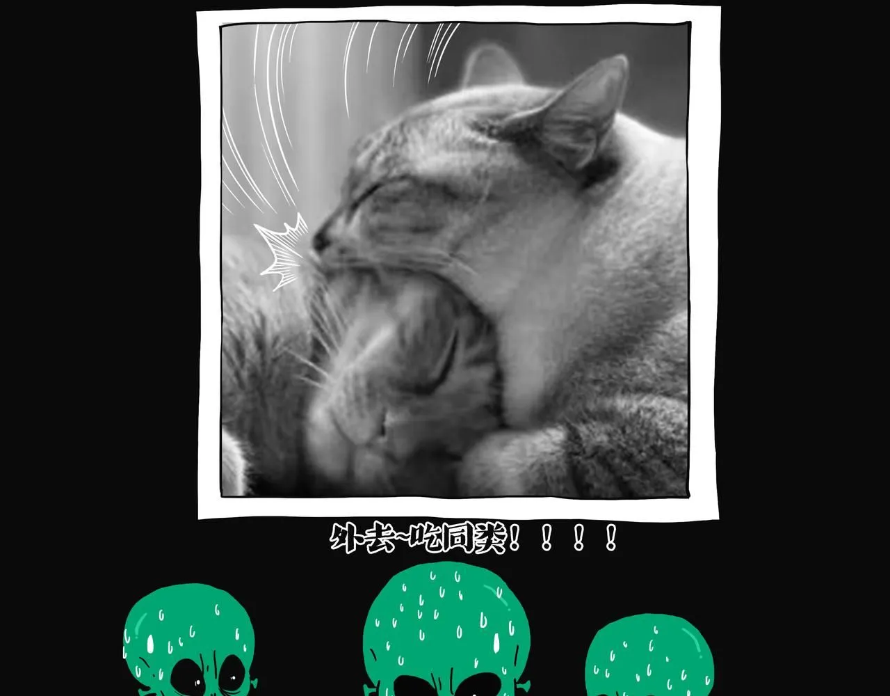 第387话 “凶猛”动物 第13页