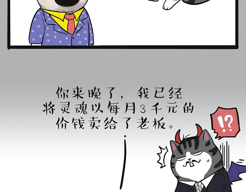 第384话 猫猫代打 第7页