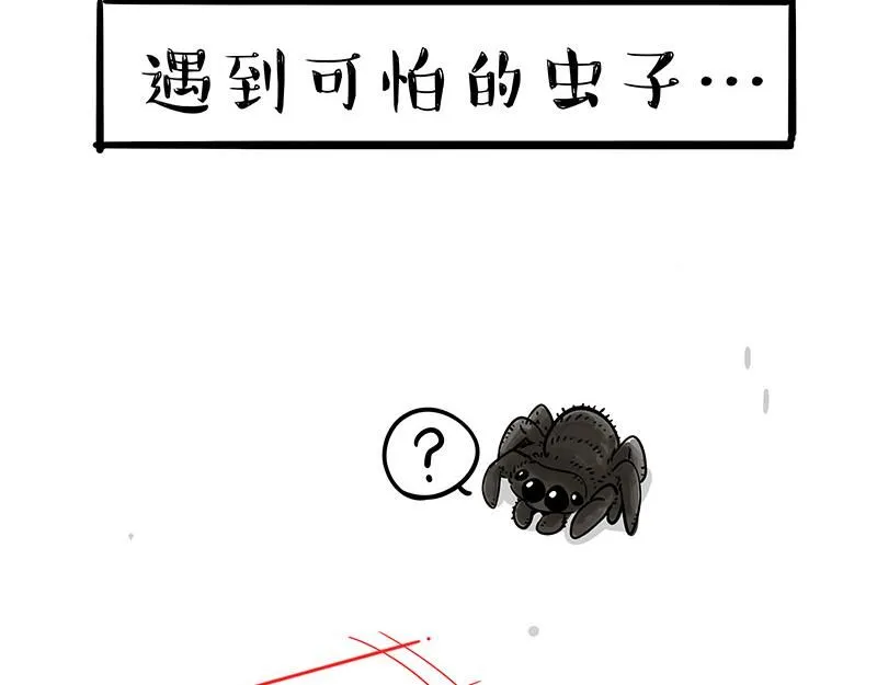 第384话 猫猫代打 第13页
