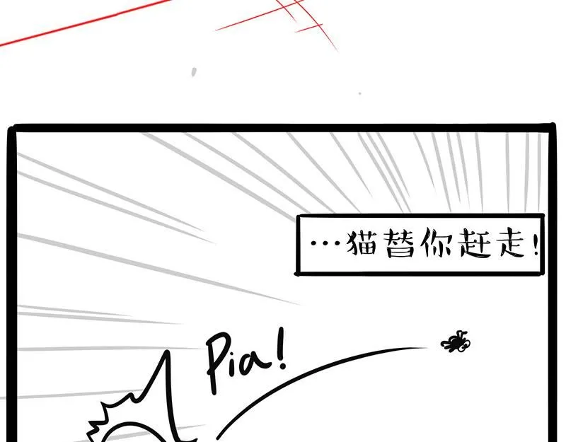 第384话 猫猫代打 第14页