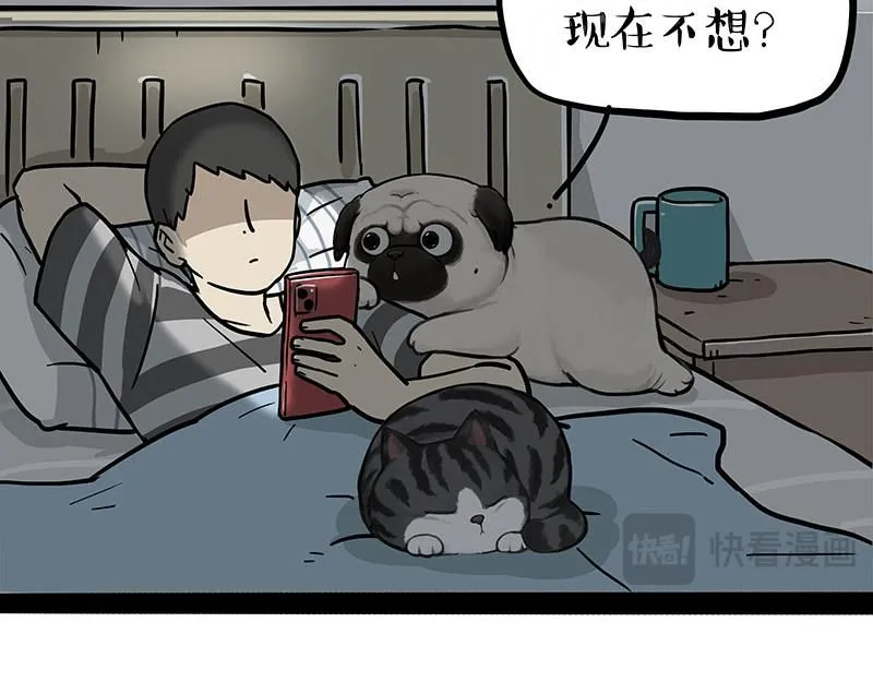 第395话 流星灵得很 第5页